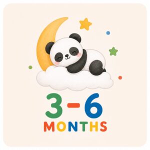 3-6 Months