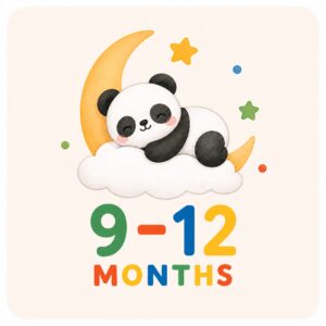 9-12 Months
